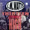 John Watts - Thirteen Stories High